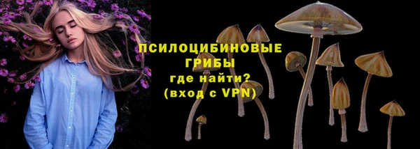 дурь Абаза