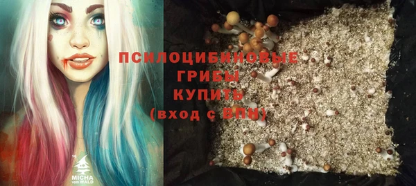 МДПВ Абдулино